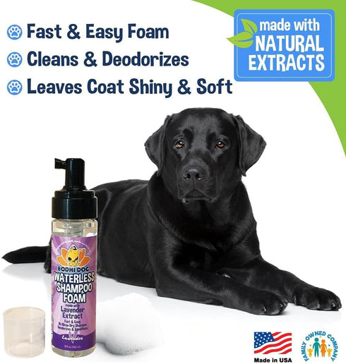 Bodhi Dog Waterless Foaming Shampoo, Natural Pet Shampoo for Dogs & Cats, No Rinse Required (Lavender, 8oz)