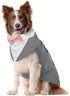 Kuoser Dog Tuxedo Suit and Bandana Set, Formal Pet Wedding Attire for Large, Medium, and Small Dogs
