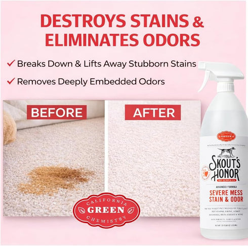 35 oz SKOUT'S HONOR Severe Mess Stain & Odor Eliminator, Powerful Stain Remover and Carpet Cleaner for Tough Dog