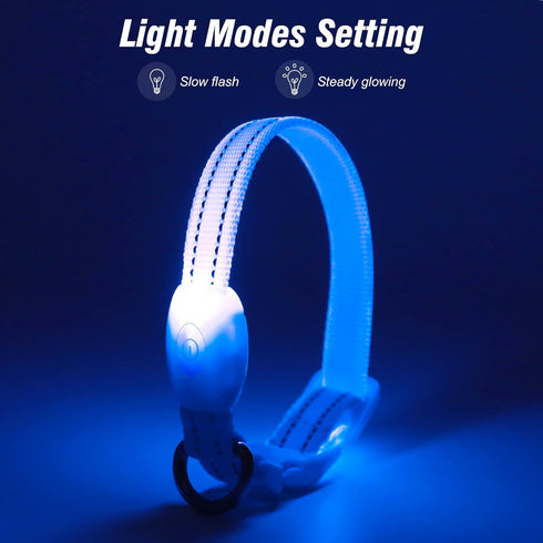 Visinite Light Up Dog Collars for Small Dogs, LED Dog Collar Light Rechargeable, Fully Adjustable Glow in The Dark Dog