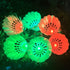 Inngree LED Badminton Birdies, LED Colourful Shuttlecock Dark Night Goose Feather Glow Birdies Lighting Outdoor Indoor