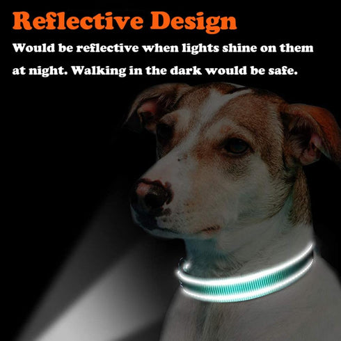 Martingale Dog Collar with Stainless Steel Chain - Adjustable Soft Padded Nylon Reflective Collar for Large Medium