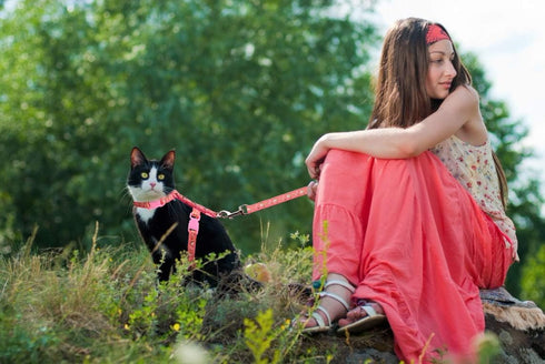 Cat Harness and Leash Set, Soft Nylon Escape Proof Adjustable for Kittens, Glow in The Dark, Moons Stars (Pink)