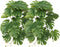 WOLEDOE 2Pack Reptile Fake Plants for Terrarium, Snake Tank Accessories, Habitat Decor Artificial