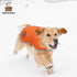 Queenmore Cold Weather Dog Coats, Loft Reversible Winter Fleece Vest, Waterproof Pet Jacket in Multiple Sizes
