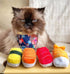 munchiecat Sushi Catnip Toy for Cats, USA Made, Engaging Design for Pouncing and Play, 4-Pc Rainbow