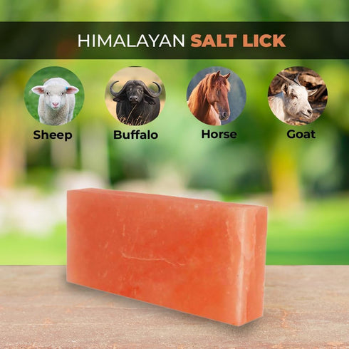 Generic Pack 4 5 Lbs Himalayan Salt Lick Block for Horses | Himalayan Licking Salt Bricks for Farm Animals | Salt Lick