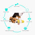 Dog Chew Toys for Aggressive Chewers - Corn Interactive Squeaky Toys for Medium Breed, Tough Rubber