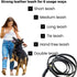 Multi Function 8ft Genuine Leather Dog Leash - Hands Free Training for Small, Medium, Large Dogs (Black)