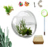 Creative Acrylic Hanging Wall Mounted Fish Tank, Mini Aquarium Planter for Home Decor