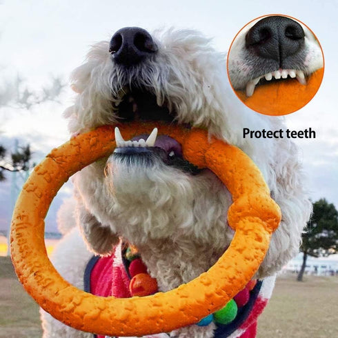 LaRoo Dog Training Ring - Outdoor Fitness Floatable Pulling Toy and Flying Disc for Small Dogs
