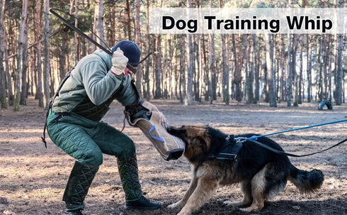 Pssopp Cowhide Dog Agitation Whip, Dog Teaser Wand for Pulling, Chasing, Chewing, Teasing, Outdoor Training