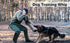 Pssopp Cowhide Dog Agitation Whip, Dog Teaser Wand for Pulling, Chasing, Chewing, Teasing, Outdoor Training