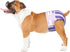 HONEY CARE Petrichor Female Dog Diaper, Camellia Fragrance, Emits Fresh Scent While