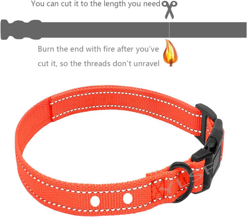 Dog Nylon Collar Strap for Heavy Light-Duty Electronic Fence Training Barking Collar, 3/4 Inch Replacement