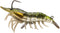 Generic Fishing Lure Shrimp Jig Bait lsh75sk 1/4oz Color # 1/4oz Grass Shrimp