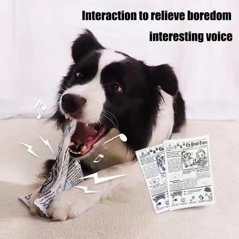 2 PCS Plastic Creaks Squeaky Newspaper Crinkle Dog Chew Toys, Interactive Tug of War Pet Toy