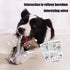 2 PCS Plastic Creaks Squeaky Newspaper Crinkle Dog Chew Toys, Interactive Tug of War Pet Toy