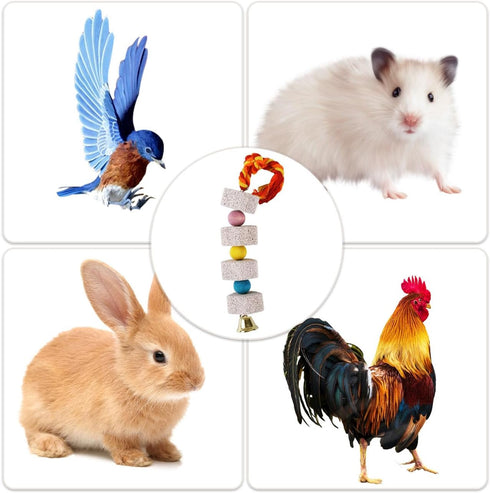YOULJINTFA 2 Pcs Large Chicken Chewing Toy with Bell Chicken Coop Accessories Chick Beak Grinding Calcium Stone