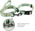 Ihoming Dog Collar and Leash Set, Floral GreenLake Design for Large Dogs Cats, Daily Outdoor Walking Training, L-Up to