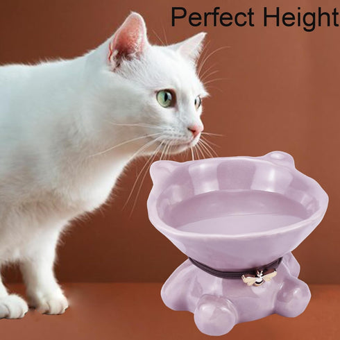 Ceramic Raised Cat Bowls for Indoor Cats, Cute Elevated 5.4 Inch Wide Whisker Friendly Purple Water Bowl, Dishwasher