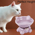 Ceramic Raised Cat Bowls for Indoor Cats, Cute Elevated 5.4 Inch Wide Whisker Friendly Purple Water Bowl, Dishwasher