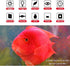 MQ 8 in Submersible LED Aquarium Light, 1.2W Color Changing Fish Tank Light with Remote Control, IP68, 9 LEDs for 10-15