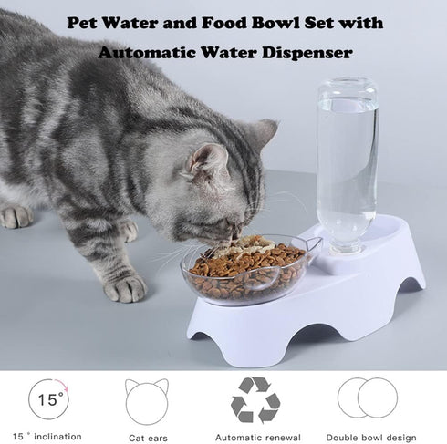 Elevated Cat Food Water Bowls with 15° Tilted Raised Stand, Double Dog Cat Bowls Anti Vomiting, Automatic Water