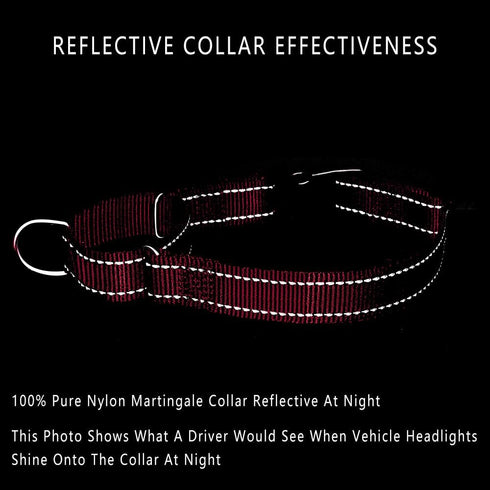 PLUTUS PET Reflective Martingale Collar, No Pull Dog Choker Collar with Quick Snap Buckle for Small Medium Large Dogs,