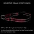 PLUTUS PET Reflective Martingale Collar, No Pull Dog Choker Collar with Quick Snap Buckle for Small Medium Large Dogs,