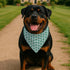 YJIKRTVT St. Patrick's Day Dog Bandana, Shamrock Clover Triangle Bib Scarf for Small and Medium Dogs, Green Puppy