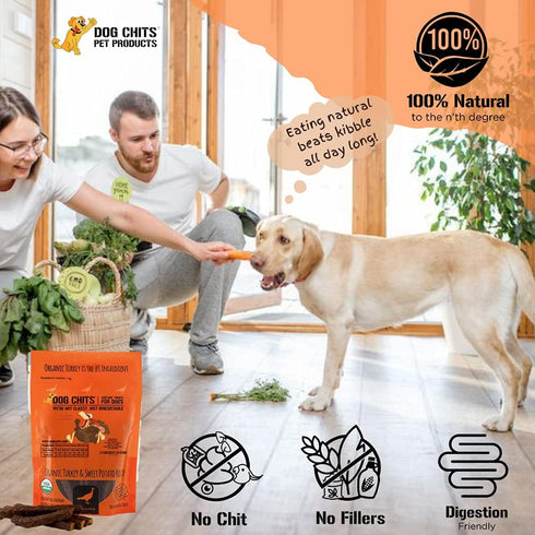 Dog Chits Turkey and Sweet Potato Soft Chew for Dogs, Organic Treats, Made in USA, 4 oz.