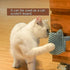Cat Pet Self Grooming Comb Brush, Multi Functional Corner Massage Glove Tool for Kitten Puppy Relaxing with Catnip