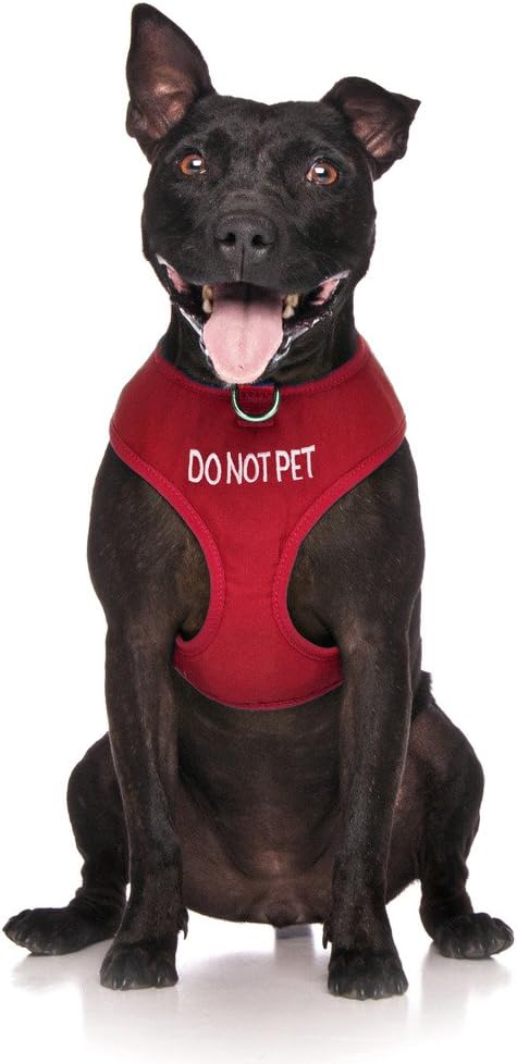 Dexil Limited DO NOT PET Red Color Coded Dog Harness, Non-Pull, Padded, Waterproof Vest, Size M