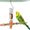 QBLEEV Stainless Steel Bird Food Holder, 25cm Long, For Parrots, Fits Nuts, Fruits, Vegetables, Chew Toys