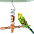 QBLEEV Stainless Steel Bird Food Holder, 25cm Long, For Parrots, Fits Nuts, Fruits, Vegetables, Chew Toys