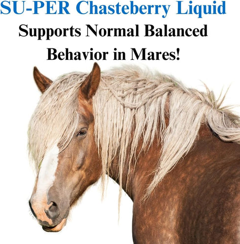 1 SU-PER Chasteberry Supplement for Horses - Supports Hormone Regulation & Healthy Pituitary Gland Function in Mares