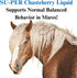 1 SU-PER Chasteberry Supplement for Horses - Supports Hormone Regulation & Healthy Pituitary Gland Function in Mares