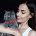 2 Pcs Cat Collars - Heart Bling Breakaway with Bell, Adjustable Nylon for Kitty (Red + Purple)