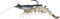 Generic Fishing Lure ps35 Soft Plastic Shrimp 3.5 Inch Prerigged Color # 3