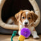 NIHUIFA Bulb Lovely Designs Pet Cotton Rope Chew Toy Squeaky Plush Teether Chewing Toy Help Teeth Bonding Activity
