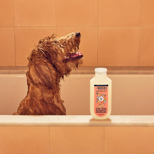 3 1 14oz MRS. MEYER'S Clean Day in Dog Shampoo, White Peach Scent