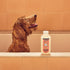 3 1 14oz MRS. MEYER'S Clean Day in Dog Shampoo, White Peach Scent