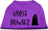 Halloween Pet Dog & Cat Shirt Screen Printed, Ghost Hunter, Red 2XL (20-25 lbs.)
