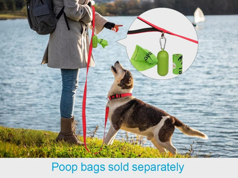 Taglory Dog Leash, Double-Sided Reflective, Soft Neoprene Padded Handle, 3/4 inch by 5 ft, for Dogs Under 20 lbs, Red