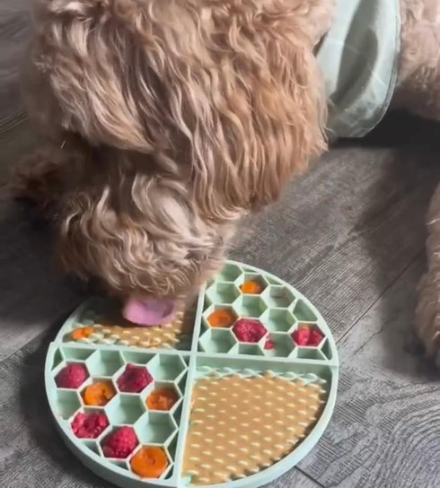 BUDDY BUDDER Superberry Snoot + Pumpkin Pup Blue Dog Enrichment Mat Combo, 100% Natural Dog Peanut Butter, 17oz Jars