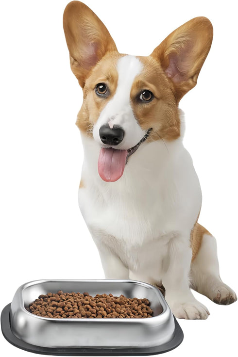 304 Stainless Steel Food Dishes with Cleaning Kit, Shallow Dog Bowls for Small/Medium Cats and Dogs