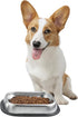304 Stainless Steel Food Dishes with Cleaning Kit, Shallow Dog Bowls for Small/Medium Cats and Dogs