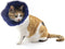 Soft Cat Recovery Collar - Nonwoven Fabric Elizabethan E Collar for Cats and Puppies, Easy to Eat and Drink (S)