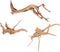 Mipcase 3 Pcs Driftwood for Aquarium, Spider Wood Decorations for Fish Tank and Reptile Decor